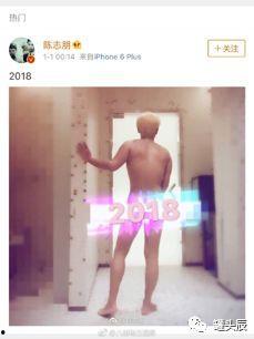 吃瓜猪娱乐视频,揭秘热门事件背后的趣味与真相