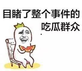 娱乐吃瓜菌感动,吃瓜菌带你领略明星们的喜怒哀乐