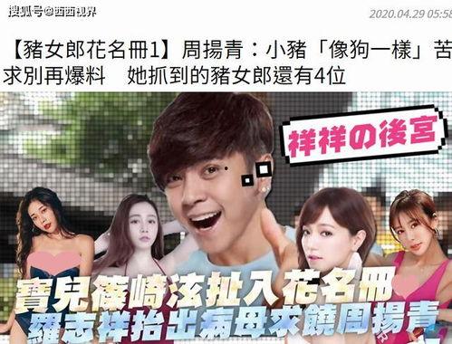 娱乐吃瓜菌感动,吃瓜菌带你领略明星们的喜怒哀乐