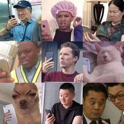 吃瓜吃瓜老太太娱乐,吃瓜文化背后的社会现象解析