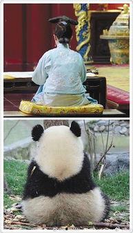 吃瓜群众说娱乐,吃瓜群众视角下的娱乐风云录