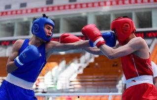 吃瓜娱乐拳击比赛,吃瓜娱乐拳击比赛的狂欢盛宴”