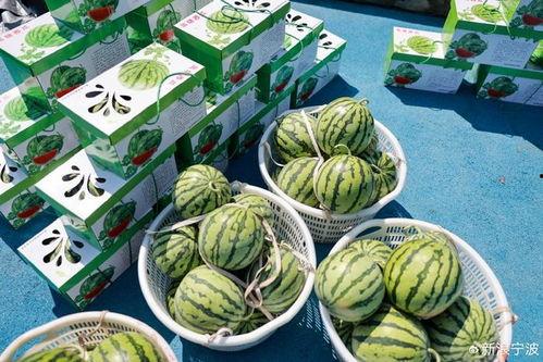 娱乐吃瓜甜,揭秘明星幕后故事与热点事件