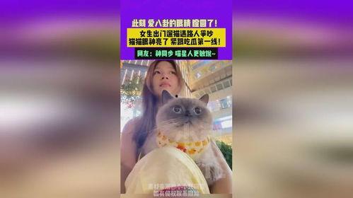 吃瓜少女猫娱乐,网络时代的趣味观察与生活感悟