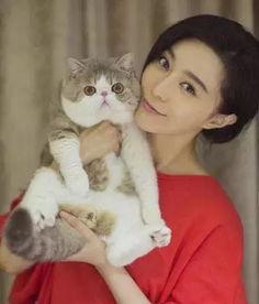 吃瓜少女猫娱乐,网络时代的趣味观察与生活感悟
