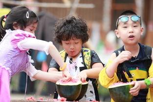 在娱乐综艺吃瓜,明星幕后故事与趣味瞬间