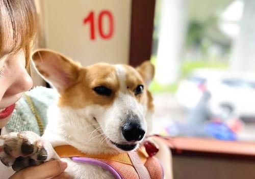 娱乐吃瓜鲨,揭秘明星幕后故事与八卦风云