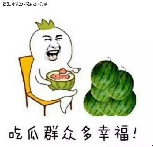 娱乐吃瓜关注,吃瓜群众聚焦热点事件