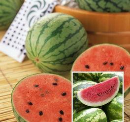 娱乐早吃瓜,揭秘明星幕后故事，揭秘明星幕后故事