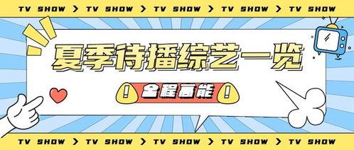 娱乐吃瓜海报,娱乐圈背后的故事与八卦