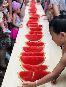 吃瓜娱乐小能手,揭秘娱乐圈幕后故事与热点动态