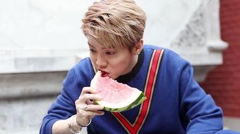 鹿晗娱乐吃瓜,真相与谣言的交织