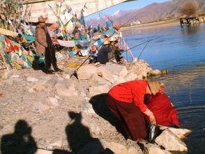 娱乐吃瓜酱西藏,探寻神秘高原的娱乐与美食之旅