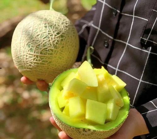 娱乐吃瓜基地,揭秘娱乐圈幕后故事与热点动态