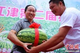 吃瓜娱乐重庆,揭秘重庆美食背后的文化魅力