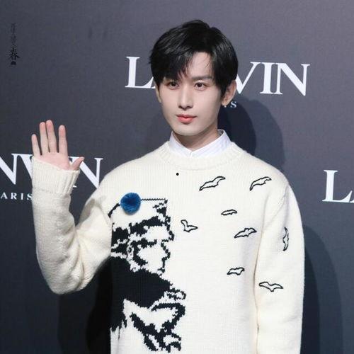 吃瓜娱乐成毅,娱乐圈风云变幻中的成长与争议