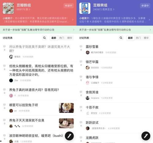 聊天吃瓜娱乐,娱乐消遣与社交新趋势