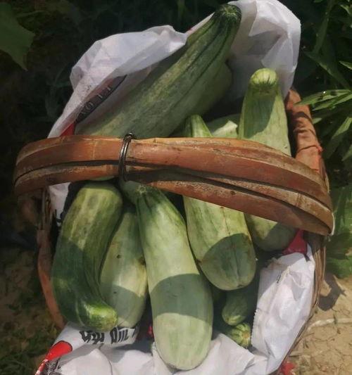 娱乐吃瓜带货,明星效应下的新商业模式