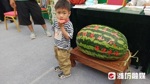 娱乐吃瓜带货,明星效应下的新商业模式