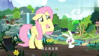 小马娱乐吃瓜,从爆红到回归平凡生活