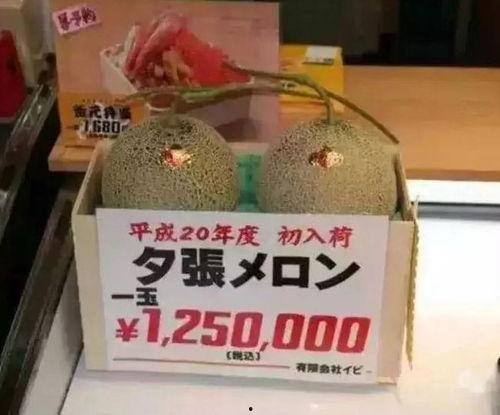 娱乐吃瓜7045,7045事件背后的真相与影响