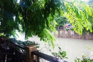 吃瓜娱乐间江南