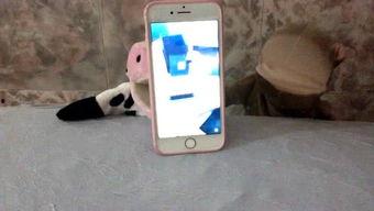 娱乐吃瓜酱监控,揭秘娱乐圈热点事件背后的真相