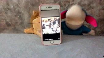 娱乐吃瓜酱监控,揭秘娱乐圈热点事件背后的真相