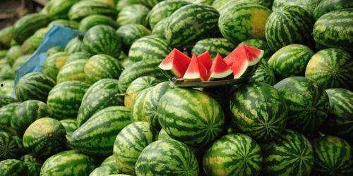 娱乐吃瓜718网红瓜,娱乐吃瓜盛宴，揭秘网红圈幕后故事