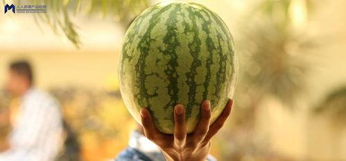 娱乐最新吃瓜事件