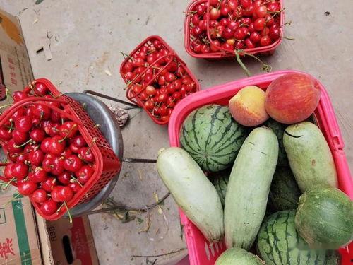 留学圈吃瓜娱乐圈吃瓜,留学圈与娱乐圈的跨界吃瓜大揭秘