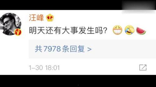 娱乐吃瓜取名,揭秘明星们的“吃瓜”日常