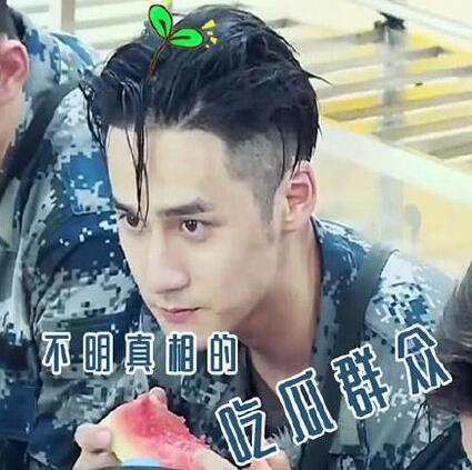 娱乐吃瓜头像男,揭秘吃瓜群众心中的帅气男生