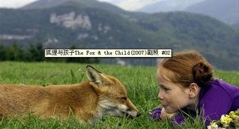 娱乐吃瓜酱狐狸,揭秘娱乐圈背后的那些事儿