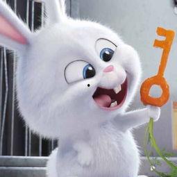 娱乐吃瓜兔子视频,揭秘娱乐圈幕后故事