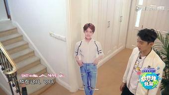 马天宇娱乐吃瓜,揭秘明星幕后吃瓜真相