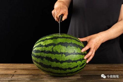 娱乐吃瓜教,吃瓜群众教你如何成为行走的八卦达人