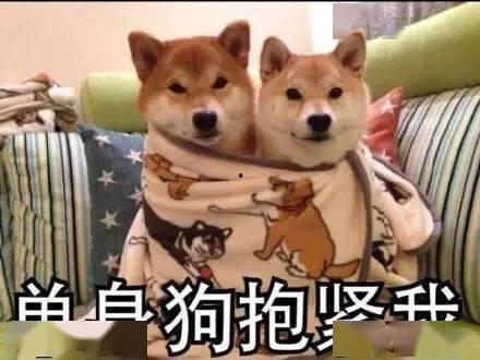 鹿鹿娱乐吃瓜,揭秘娱乐圈最新“吃瓜”事件