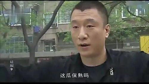 吃瓜娱乐打人案件,一桩打人案件的背后真相