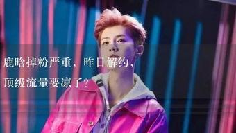 娱乐吃瓜君事件,揭秘网络舆论背后的真相与争议