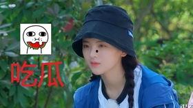 吃瓜娱乐ing,揭秘娱乐圈幕后故事