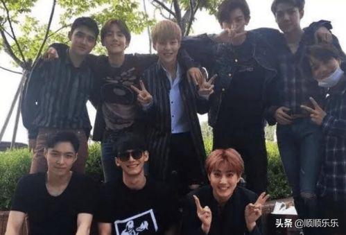 今日吃瓜每日吃瓜热门大瓜娱乐,娱乐圈风云再起，吃瓜群众热议不断