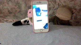 娱乐吃瓜酱手机,揭秘娱乐圈幕后故事，带你领略明星生活点滴