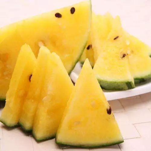 娱乐吃瓜地,吃瓜群众背后的故事