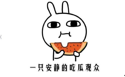 娱乐吃瓜酱考试,揭秘娱乐圈幕后真相