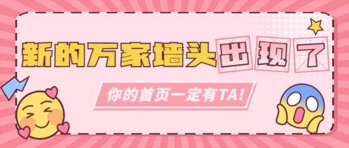 娱乐吃瓜号233,揭秘娱乐圈那些不为人知的幕后故事