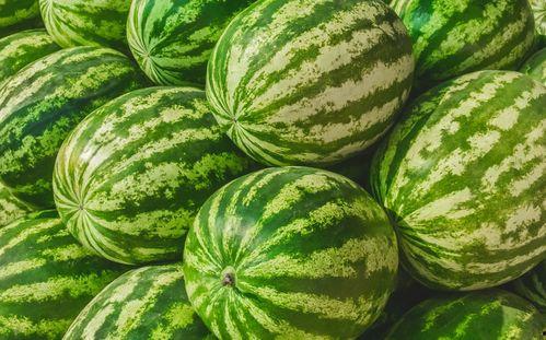 大娱乐吃瓜,大娱乐吃瓜，揭秘明星幕后故事