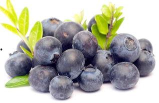 娱乐吃瓜酱蓝莓,吃瓜酱带你领略明星幕后故事