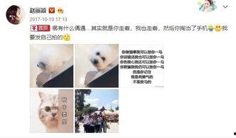 娱乐吃瓜网友事件,揭秘明星幕后真相