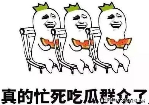 娱乐吃瓜酱上班,揭秘职场日常，带你领略办公室里的欢乐与八卦